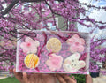 The Spring Pack - Macarons - Variety 6 Pack