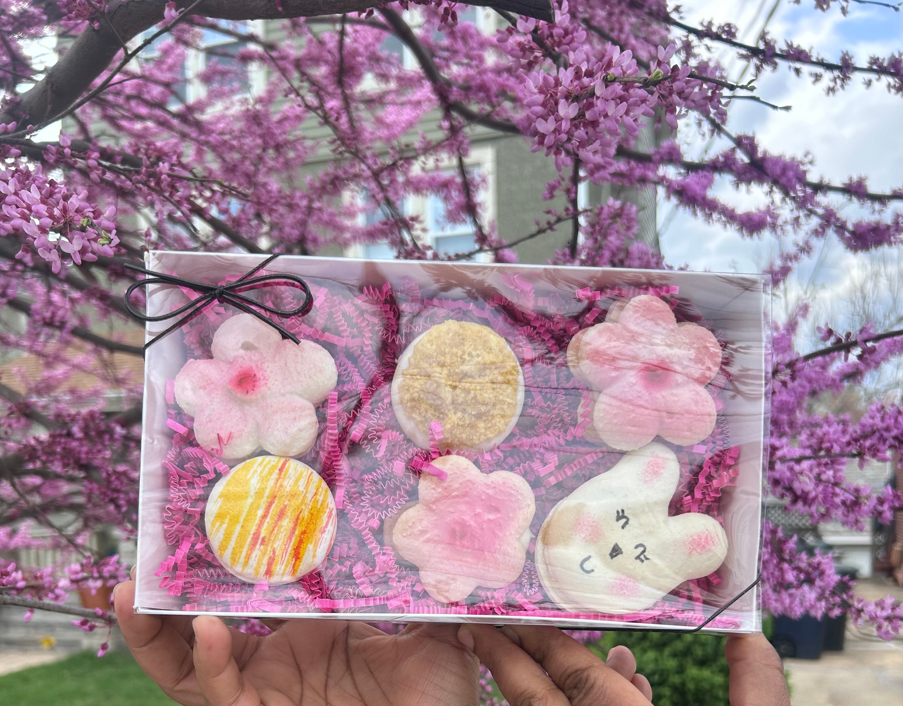 The Spring Pack - Macarons - Variety 6 Pack